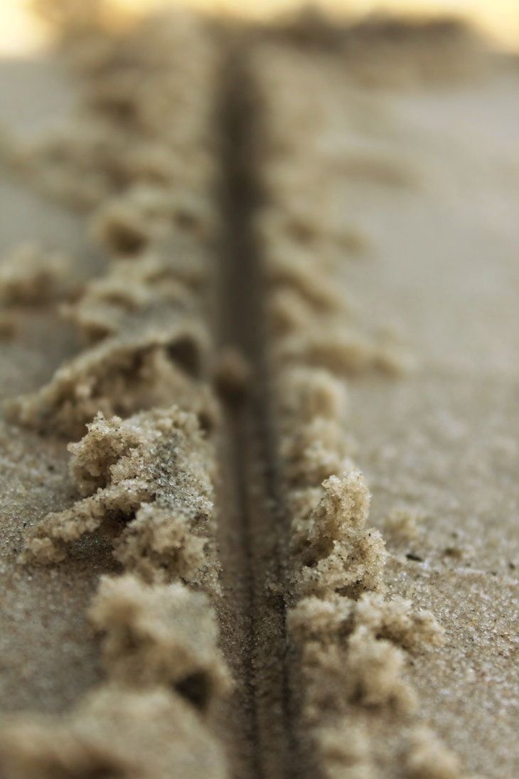 Blog image